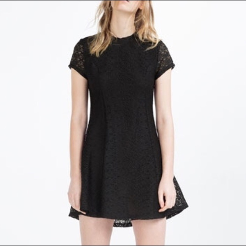NWT Zara Dress